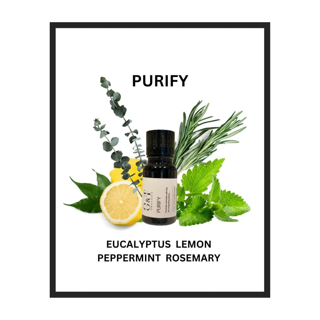 Purify Essential Oil Blend