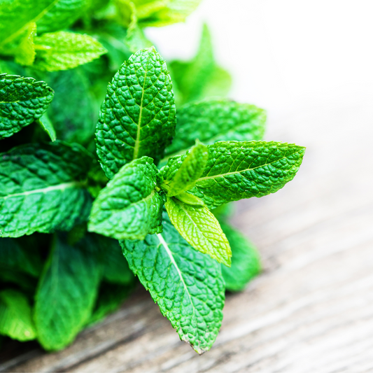 Organic Spearmint Essential Oil